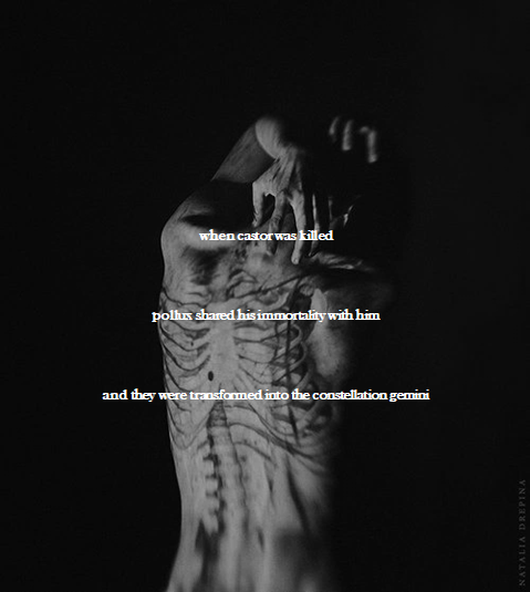 mythology meme: demigods (8/8)— pollux in greek mythology pollux was the son of leda and zeus,