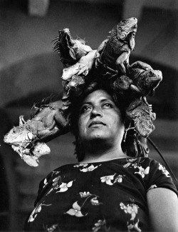 Graciela Iturbide - Notre-Dame des Iguanes, Juchitàn, Oaxaca, Mexico, 1978.