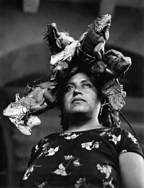 Porn photo Graciela Iturbide - Notre-Dame des Iguanes,