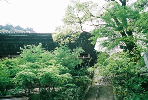 書寫山 圓教寺