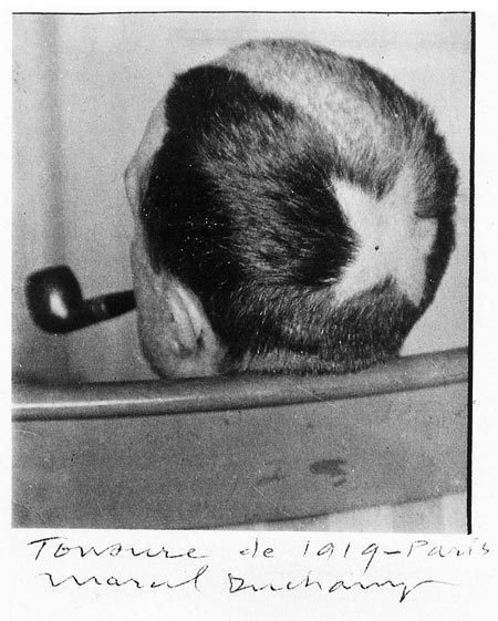 arterialtrees: Duchamp With Star Shaved Into adult photos