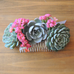 coolthingsyoucanbuy:  Succulent Hair Comb