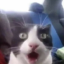 kittysaur