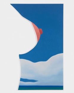 topcat77:Tom Wesselmann