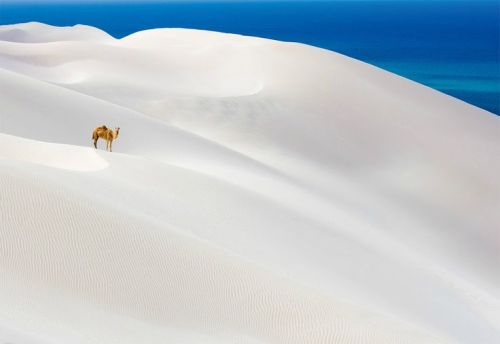 praial:Aomak Beach, Socotra Island, Yemen by National Geographic