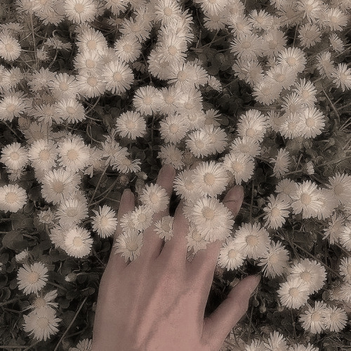 Billie Eilish Fairy - Aesthetic Credit If Used