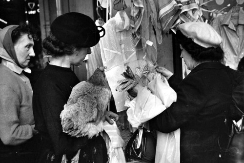 XXX Nina Leen - Marguerite et sa poule, Paris, photo