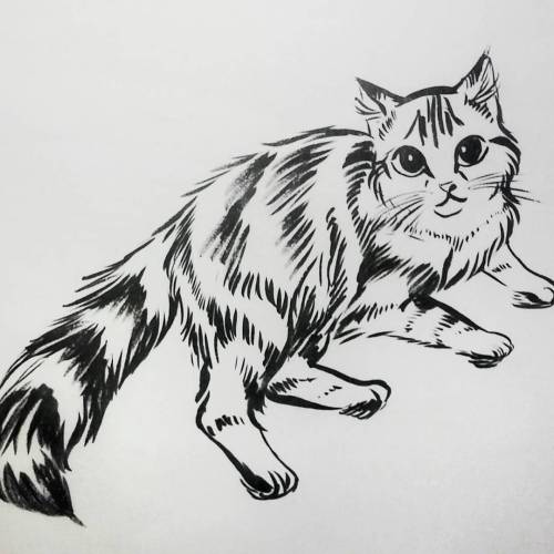 Little kitty for #inktober2015 today. #inktober #kitty #fluffy #drawing #art #meow #cat #artstagram 