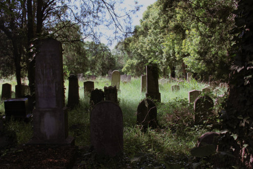 thalassophilie: Zentralfriedhof Wien