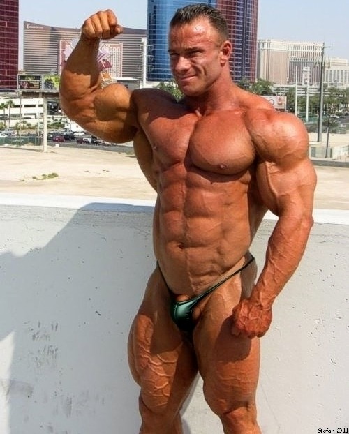 wrestlehead:  wrestlehead:  tiny posers   Ronny Rockel 