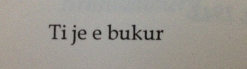 perjetesis:  Sado ta perserit ti nuk do me besosh , dhe sa here ta refuzosh asgje nuk do ndryshoje ate cka ti je. Ti ngelesh me e bukura.