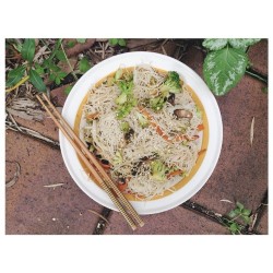 Not too bad for an empty kitchen 🙌 {lemon-garlic stir fry with brown rice vermicelli, broccoli, carrot, mushrooms and sesame seeds} 🌸