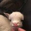 sleepyone232