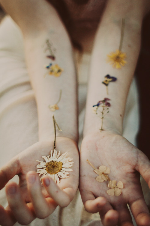 katiesivits:  fairy blood | october 2013 