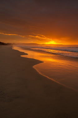 wowtastic-nature:  💙 Gold on 500px by