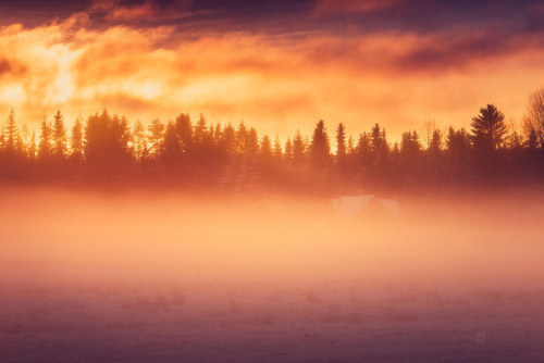 te5seract:  Autumn Sunrise, Winter Glow & Finnish Summernight by Joni Niemelä
