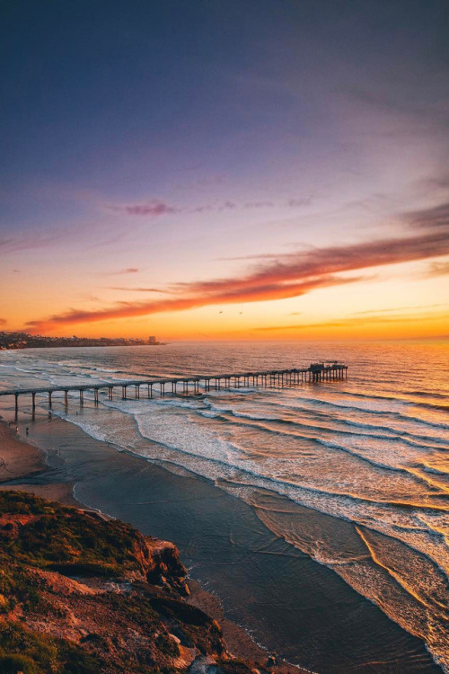 banshy:  La Jolla, California by Michael adult photos