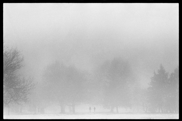 Washington Park Fog on Flickr.