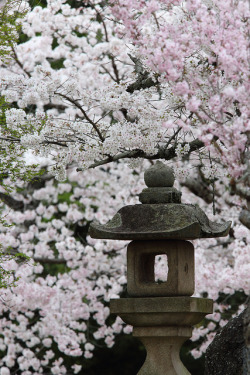 ileftmyheartintokyo:  Japanese Beauty by