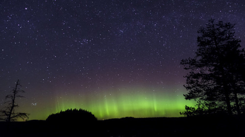 Northern Lights at Kurjenrahka National Park, submitted by popszi js