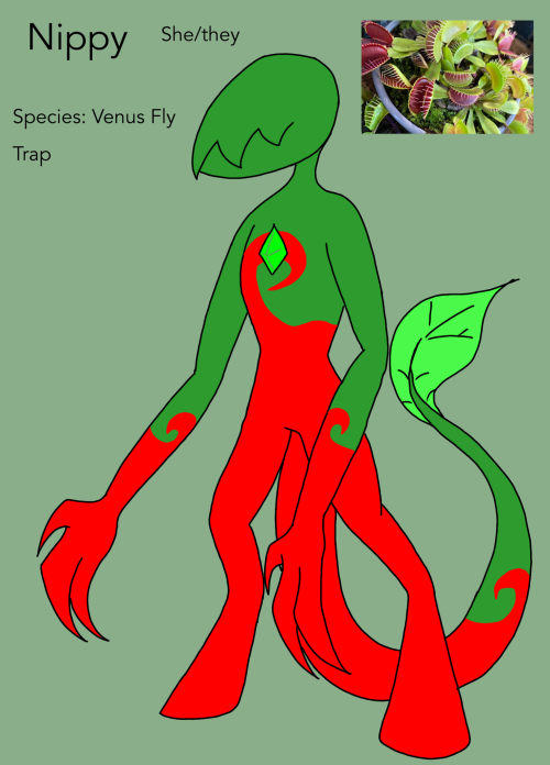 More ROTTMNT Ocs :)