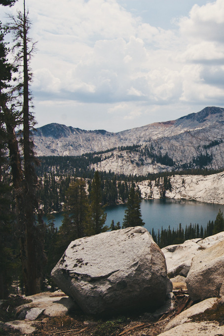naturexphotography:  Following back 