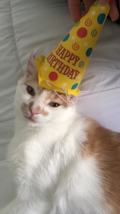 My Pumpkin is one whole year old!!!!(submitted by @whatthenorris)