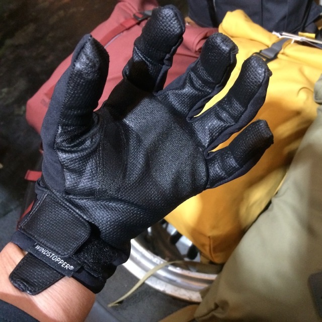 ARC'TERYX - アークテリクス アルファ SL グローブ GORE-TEXの