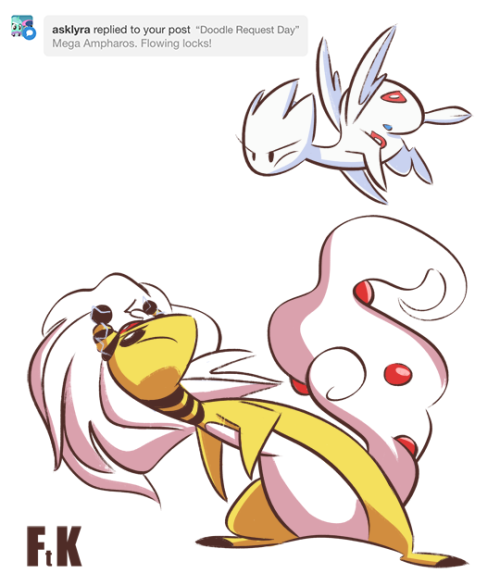 Who Will Win!?