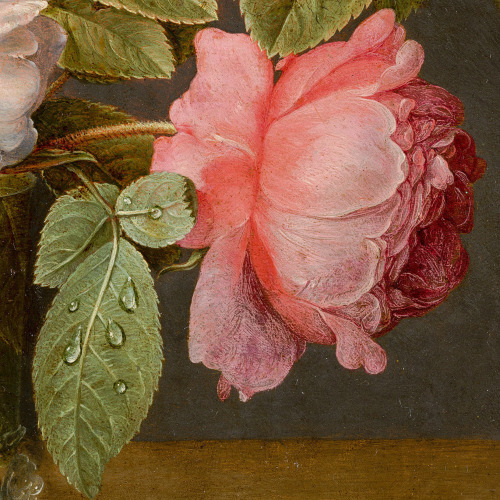 florealegiardini:Roses in a Glass Vase (detail), c. 1640 - 1645. Jacob van Hulsdonck