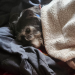 anotherfagontheinternet:why don’t u look at this photo of my dog relaxing under a blanketu know what, i blazed my other dog; trucker (yes that’s his name) deserves to be blazed too. be seen, buddy!