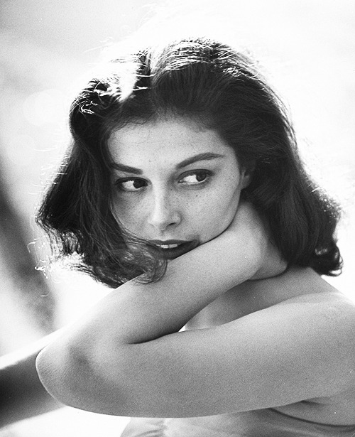 Porn photo deforest: Pier Angeli photographed by Allan