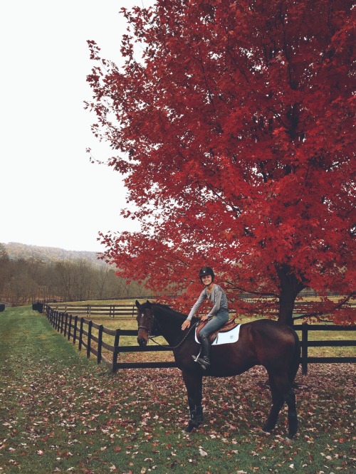 morganecarroll: Fall days with my favorite pon