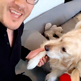 markired:  local birthday girl loves her hooman