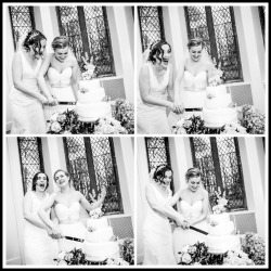 shyshivy:  Rose and Rosie trying to cut their cake! via Rosie’s Blog! 