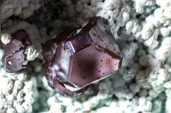 underthescopeminerals:  Cuprite, ChrysocollaLocality:Mashamba