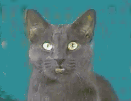 funny-gif-1:  Other Funny Gİfs http://funny-gif-1.tumblr.com/