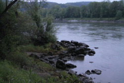 deer-ful-photography:  the danube at 5 o’clockdon’t