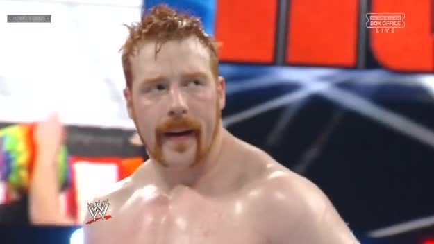 dixiewildflower:  Sheamus’ sex hair from last night.