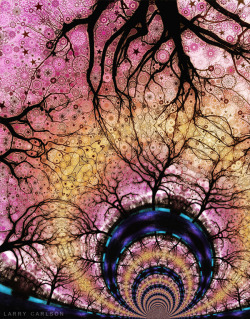 new-dimension-times:  Larry Carlson