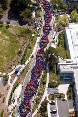 sixpenceee:  2600 people form a chain to celebrate the 60th anniversary of the discovery of the DNA. Genentech employees set a Guinness World Record for the Largest “Human” DNA Helix on April 21, 2011 in San Francisco.