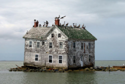 abandonedandurbex:  The last house on Holland Island, Chesapeake Bay, Maryland, 2010 [1024x690]