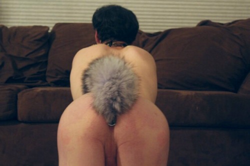 sugar-delight:  Fluffy tail Set   porn pictures