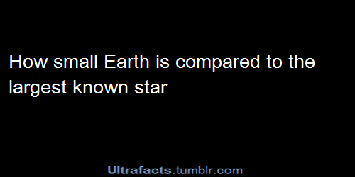 pizzaismylifepizzaisking:  feelthewings:  ultrafacts:  (Source) Follow Ultrafacts for more facts!  I kept saying, oh wow that’s large…Oh WOW that’s large! OH WOW THAT’S LARGE! MORE??  Here’s another scale i found (Wait for it)  