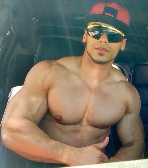 musclecorps: