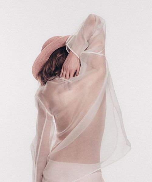 birdasaurus:Janessa Leone