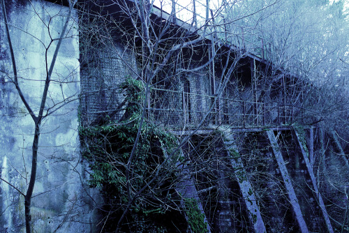 Abandoned Building in Hampshire