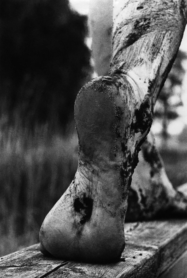 nevver:  Walk this way, Agneta Ekman Wingate
