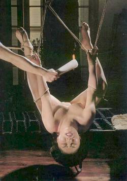 japanese-bondage:  Japanese Bondage