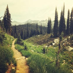 banjosandbogs:  Summer Trails from the West. 